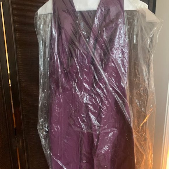 Alfred Sung Italian Plum Color long formal dress - Picture 4 of 6